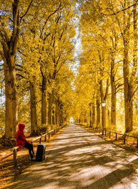 Man sitting on bench in park during autumn