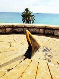 Palm tree on beach against sky