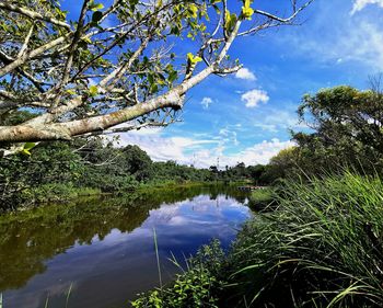 Scenic view of lake against sky