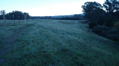 Scenic view of field against clear sky