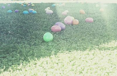 Multi colored balloons on field