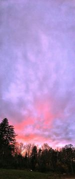 Silhouette trees against sky during sunset