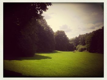 Scenic view of grassy field against sky