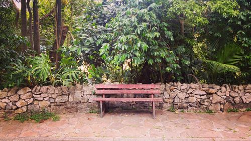 Bench against trees on landscape