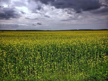 Scenic view of field against cloudy sky