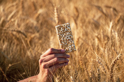 Close-up of hand holding cracker 