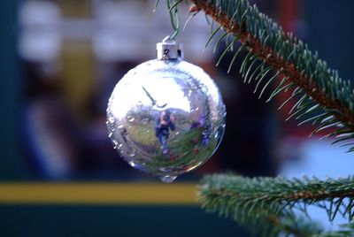 Close-up of christmas decoration hanging on tree