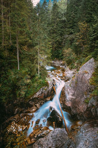 High angle view of waterfall in forest