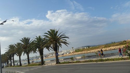 Palm trees against cloudy sky