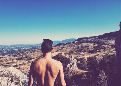 Rear view of shirtless man standing in sea against clear sky