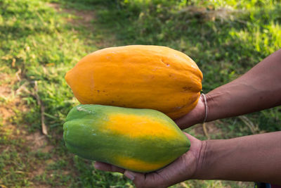 Cropped image of person holding apple on land