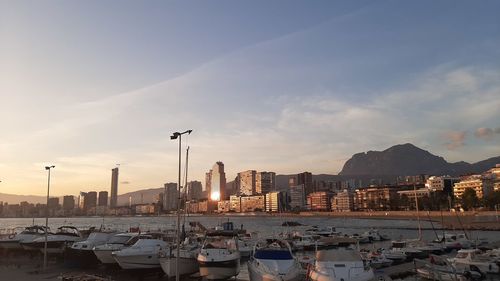 Sailboats in city at sunset