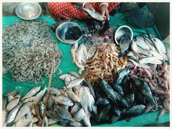 High angle view of fish for sale