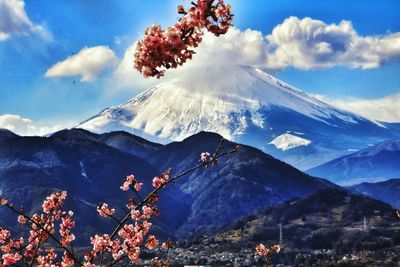 Low angle view of tree mountains against sky