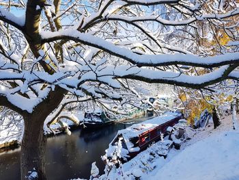 Scenic view of snow covered tree against sky