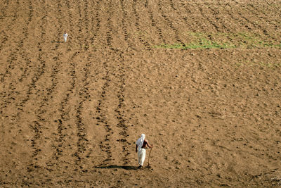 Wide shot of a man in his farm