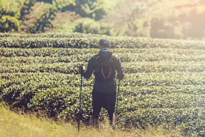 Rear view of man walking on field