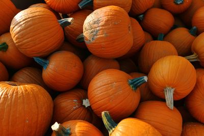 High angle view of pumpkins for sale at market stall