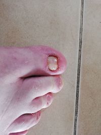 Close-up of hand holding pink flower