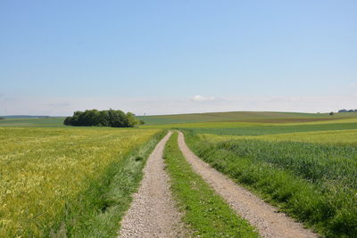 Dirt road amidst field against sky