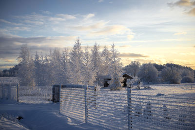 Trees and fence covered in frost, beautiful winter morning landscape