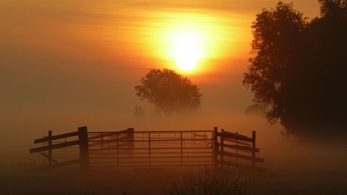 Silhouette trees against sky during sunset