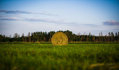 Hay bales on field against sky