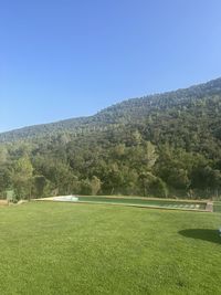 nature