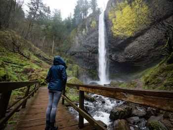 Rear view of man standing by waterfall in forest