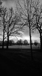 Silhouette bare trees on field against sky