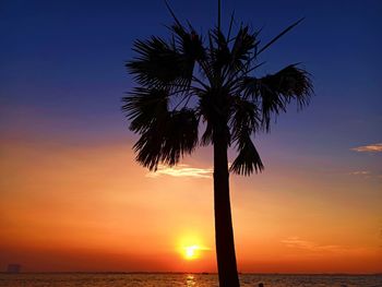 Silhouette palm tree by sea against sky during sunset