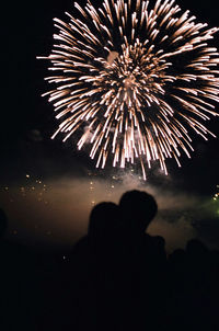 Fireworks exploding in night sky