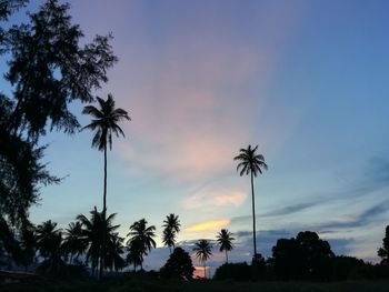 Low angle view of silhouette palm trees against sky