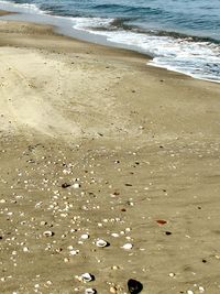 High angle view of beach