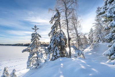 Snow covered landscape against sky