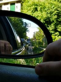 Reflection of trees in water