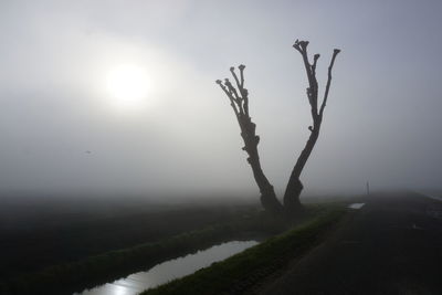 Tree on landscape against sky