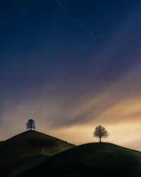 Low angle view of silhouette trees against sky during sunset