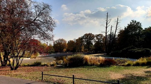 Trees by lake against sky during autumn