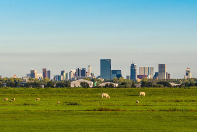 Scenic view of grassy field with city in background