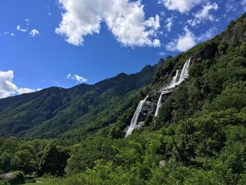 Scenic view of forest against sky