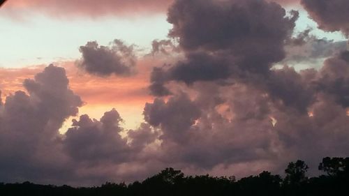 Low angle view of trees against dramatic sky