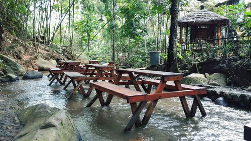 Empty chairs and table against trees in forest