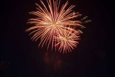 Low angle view of firework display at night