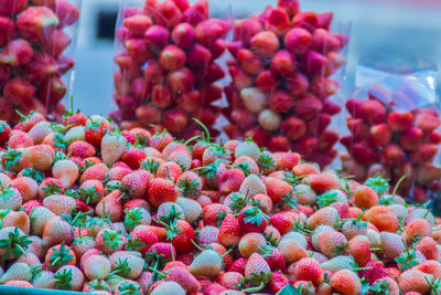 Close-up of fruits for sale at market stall