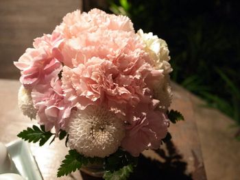 Close-up of pink flowers