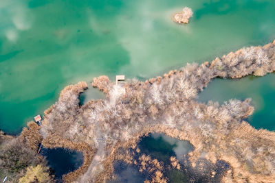 High angle view of plants by sea