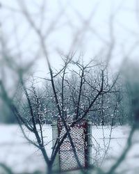 Close-up of bare tree during winter