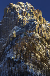 Low angle view of bare trees on mountain against sky