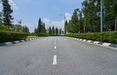 Surface level of road amidst trees against sky